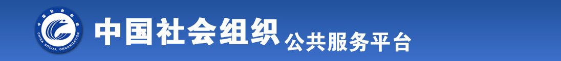 艹艹艹恩嗯嗯嗯全国社会组织信息查询